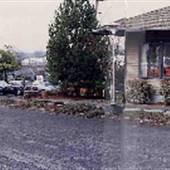 Dr. Geoffrey E. Baum Offices