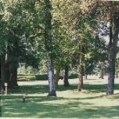 Siskiyou Memorial Park