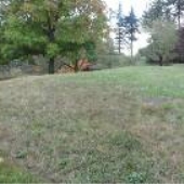 Washington Park - Wedding meadow South