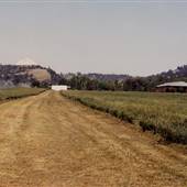 Gene Underhill Ranch Airstrip