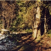 Girl Scout Camp - Mountaindale