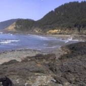 Neptune State Scenic Viewpoint