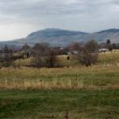 Gilstrap Brothers Vineyard