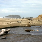 Bandon State Natural Area