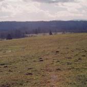 Washington Side of Gorge