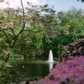 Crystal Springs Rhododendron Garden