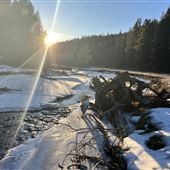 Homestead Cabin in Ochoco National Forest- 20+ acres of private land nestled in the national forest