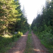 Lone Rock Timber - Roseburg