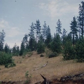 Beatty Creek BLM District