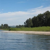 Willamette River - Five Island