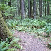 Gordon Creek Watershed