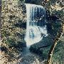 Silver Falls State Park