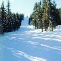 Willamette Pass Ski Area