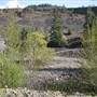 Mosier Tunnels