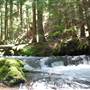 Little Zig Zag falls