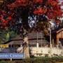 World Forestry Center