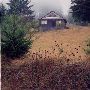 Sellers & Green Mountain Road Forests