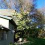 House - 10054690