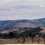 Pompadour Bluff