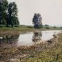 Sauvie Island - Coon Point
