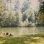 McKenzie River
