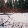 Shevlin Creek