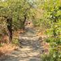 Lower Table Rock Trail
