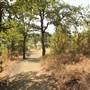 Upper Table Rock Trail