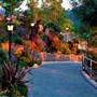 Belle Fiore Winery