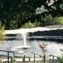 Belle Fiore Winery