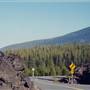 McKenzie Highway (Hwy 242) Lava Flow - near Sisters