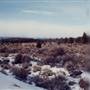 Tumalo Sideroads - Tumalo