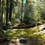 Old Salmon River Trail