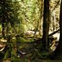 Old Salmon River Trail