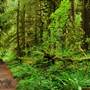 Old Salmon River Trail