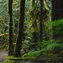 Old Salmon River Trail