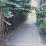 Second and Couch Alley - Portland