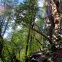 Madrone Wall climbing/bouldering