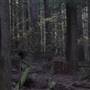 Silver Falls State Park