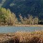 Columbia River Shoreline