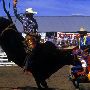 Corvallis Rodeo