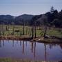 Siletz Bay