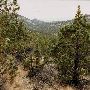Hidden Canyon