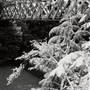 Detroit Lake Suspension Bridge