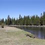 La Pine State Park: Big Pine