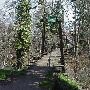 Swing Bridge