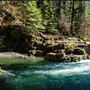 Brice Creek Falls