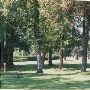 Siskiyou Memorial Park