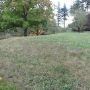 Washington Park - Wedding meadow South