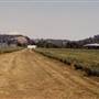 Gene Underhill Ranch Airstrip
